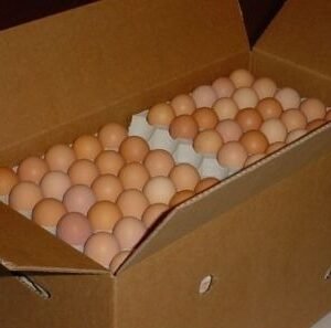 Small (45g) โ 360 eggs in a box