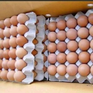 Medium (55g) โ 360 eggs in a box