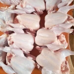 Hard body chickens