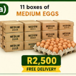 a) 11 boxes of Medium eggs