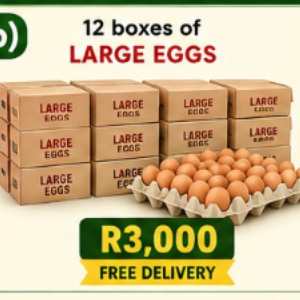 b) 12 boxes of Large eggs