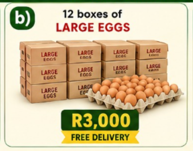 b) 12 boxes of Large eggs