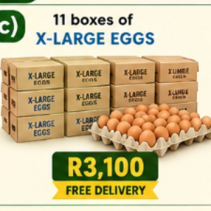 c) 11 boxes of X-Large eggs
