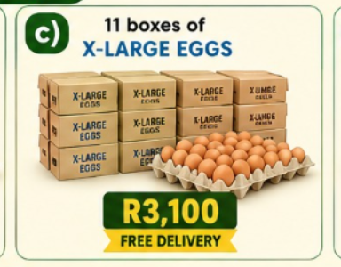 c) 11 boxes of X-Large eggs