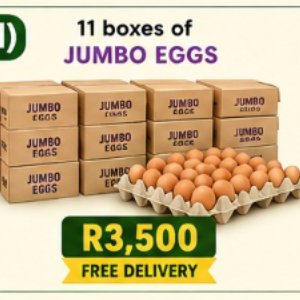 d) 11 boxes of Jumbo eggs