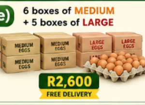 e) 6 boxes of Medium + 5 boxes of Large
