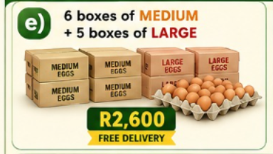 e) 6 boxes of Medium + 5 boxes of Large