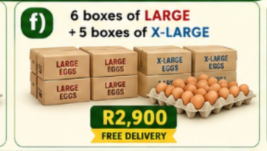 f) 6 boxes of Large + 5 boxes of X-Large