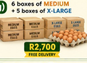 g) 6 boxes of Medium + 5 boxes of X-Large