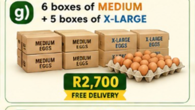 g) 6 boxes of Medium + 5 boxes of X-Large