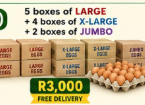 h) 5 boxes of Large + 4 boxes of X-Large + 2 boxes of Jumbo