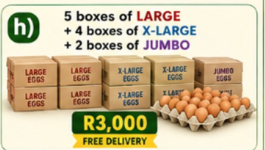 h) 5 boxes of Large + 4 boxes of X-Large + 2 boxes of Jumbo