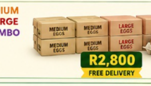 i) 4 boxes of Medium + 4 boxes of Large + 3 boxes of Jumbo