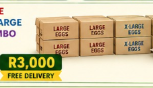 j) 4 boxes of Large + 4 boxes of X-Large + 3 boxes of Jumbo