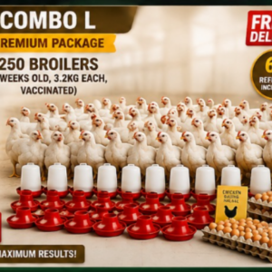 Broiler Combination (l)