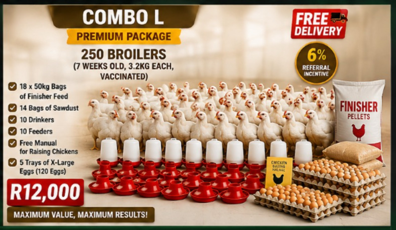 Broiler Combination (l)