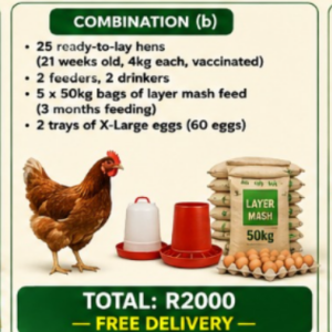 Layer Combination (b)