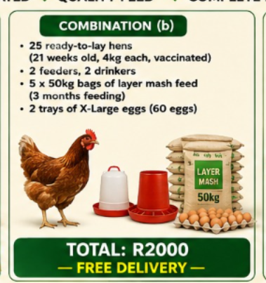 Layer Combination (b)
