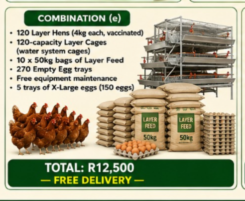 Layer  Combination (e)