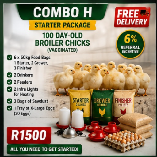 Broilers Combination (h)